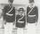 Fidel, Raúl y Ramón